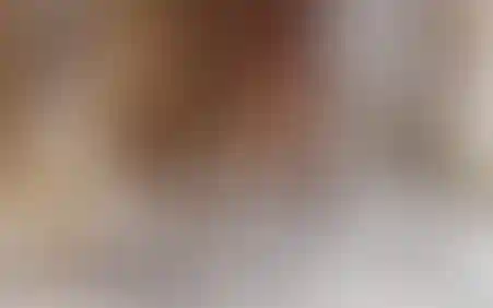 Органическая архитектура