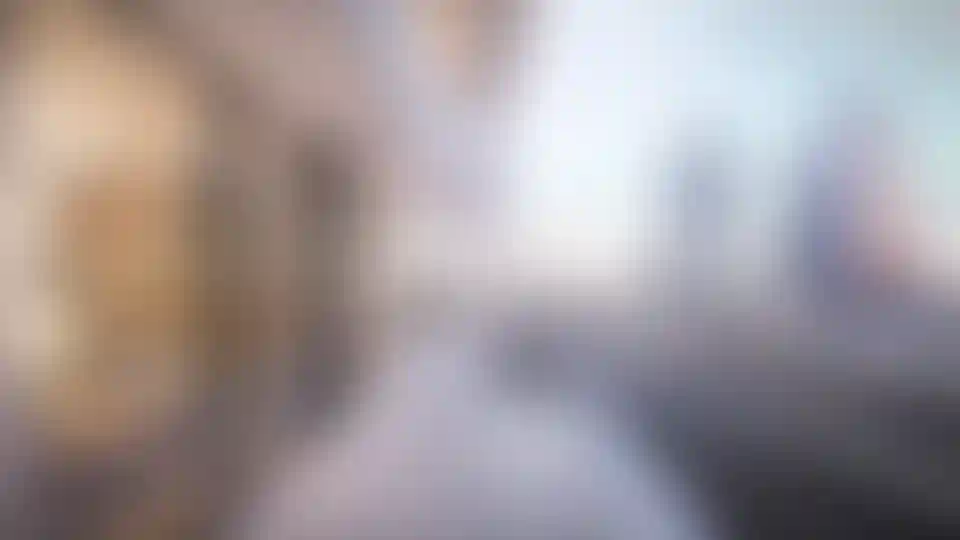 Слайд галереи-4}