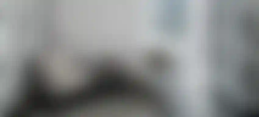 Слайд галереи-13}