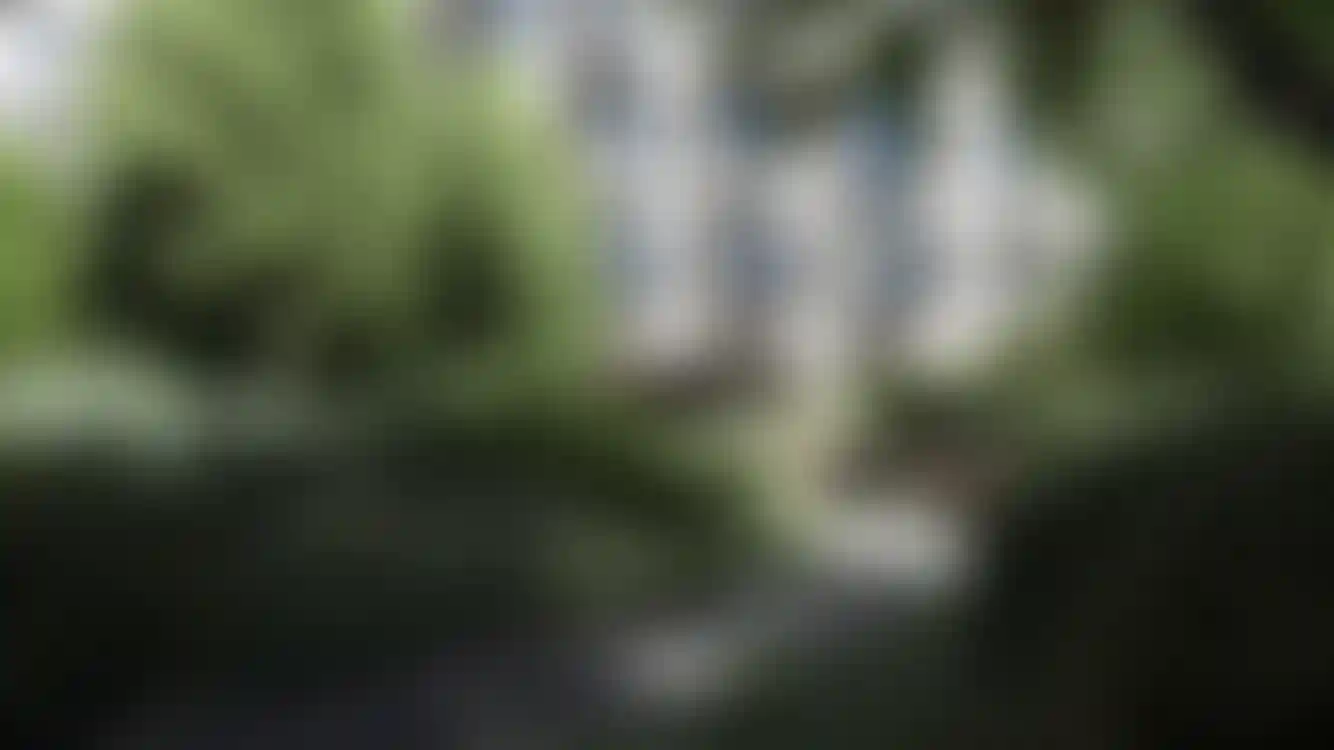 Слайд галереи-1}