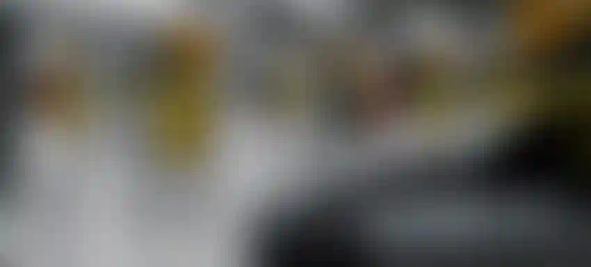 Слайд галереи-15}