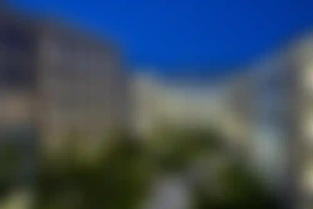 Слайд галереи-5}