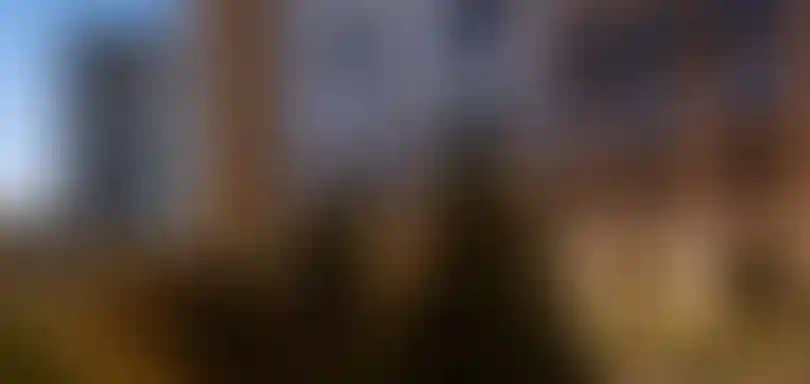 Слайд галереи-6}