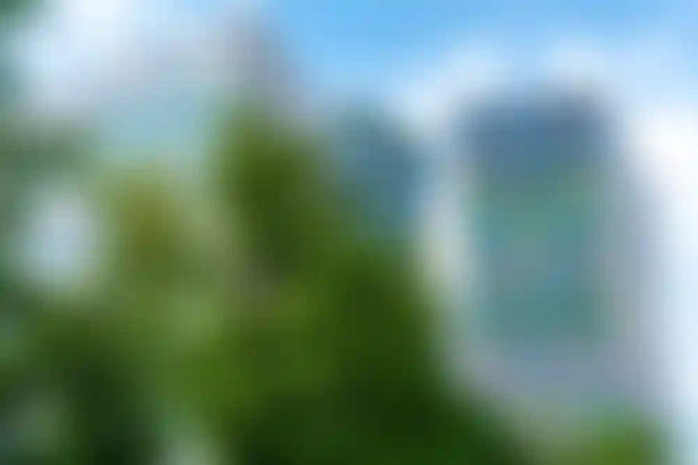 Слайд галереи-1}