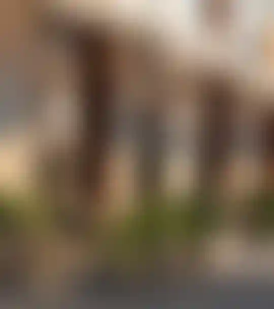 Вдохновение