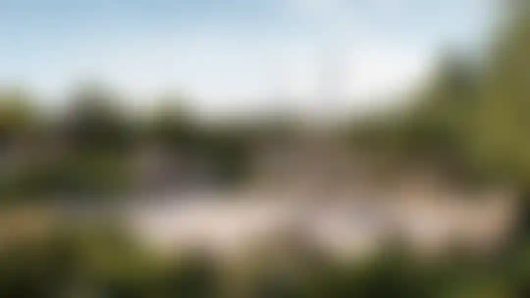 Слайд галереи-1}