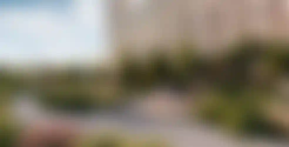 Слайд галереи-2}