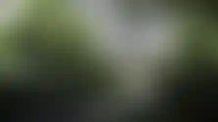 изображения проекта