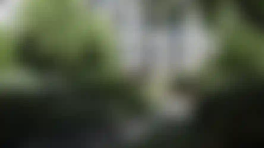 изображения проекта